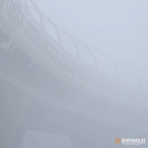 Источник: Дарья Драй/«Фонтанка.ру»