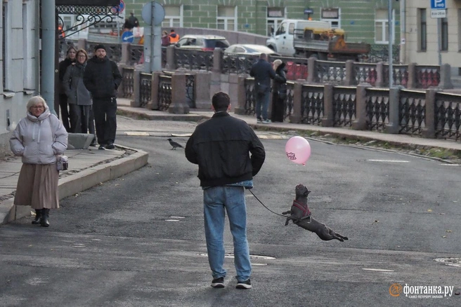 Россияне отдыхали три дня в честь Дня народного единства | Источник: Михаил Огнев / «Фонтанка.ру»