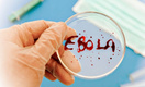 Официальное число жертв лихорадки Эбола перевалило за 2000 человек