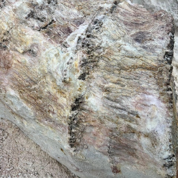 Источник: Григорьев Д. В.