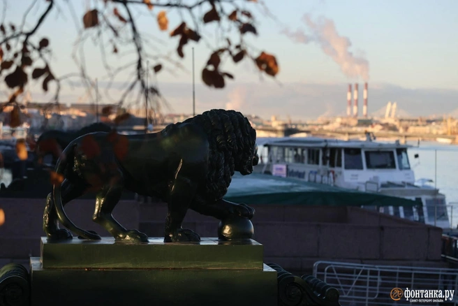 Настоящая золотая осень. Большой фоторепортаж с холодных улиц, залитых солнцем | Источник: Валентин Егоршин / «Фонтанка.ру»