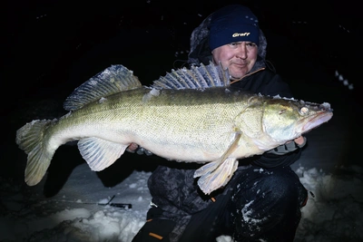 Тюменец поймал рекордного судака-гиганта