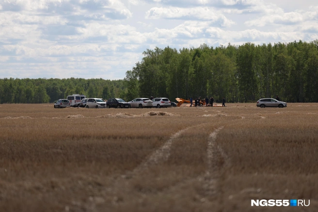 Всё случилось примерно в километре от деревни Кошкарево | Источник: Евгений Софийчук / NGS55.RU