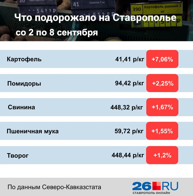 Статистика цен на продукты за неделю  | Источник: Дарья Гранкина / 26.RU