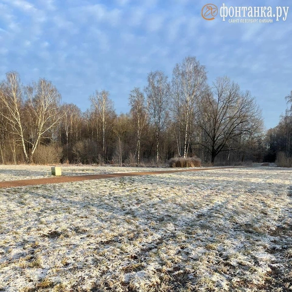 Источник: читатель «Фонтанки»