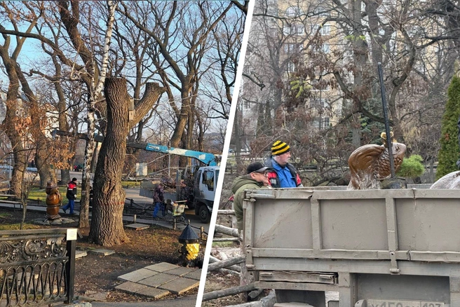 Прощай, золотая рыбка! | Источник: Прямое включение из Городского парка / Telegram