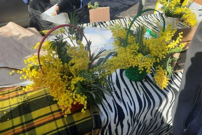 Мимоза и тюльпаны: цены на цветы на Волжском рынке