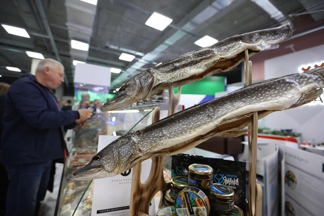 На выставке «АгроКузбасс» свою продукцию представили более 80 производителей | 142.ru