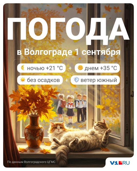 Источник: Полина Авдошина / V1.RU