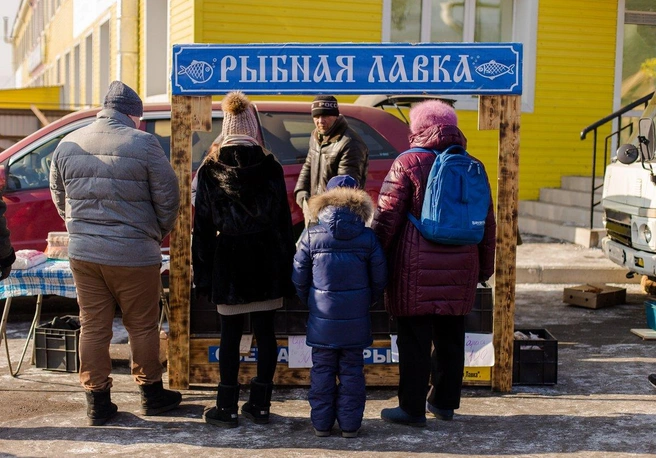 Источник: Ксения Зимина