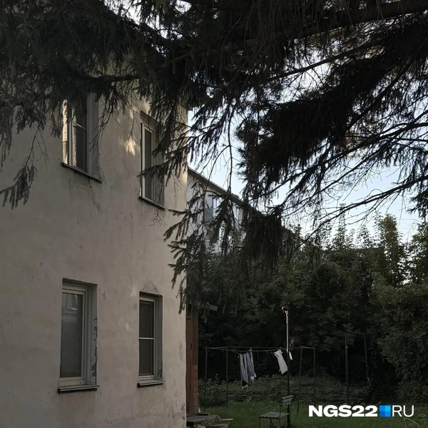 Источник: Полина Шевчукова / NGS22.RU