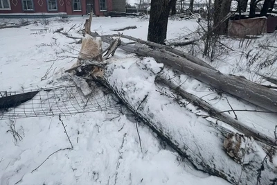 Вынесен приговор по делу о гибели рабочего в Наровчатском районе