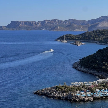 Каш | Источник: Елизавета Пенкина