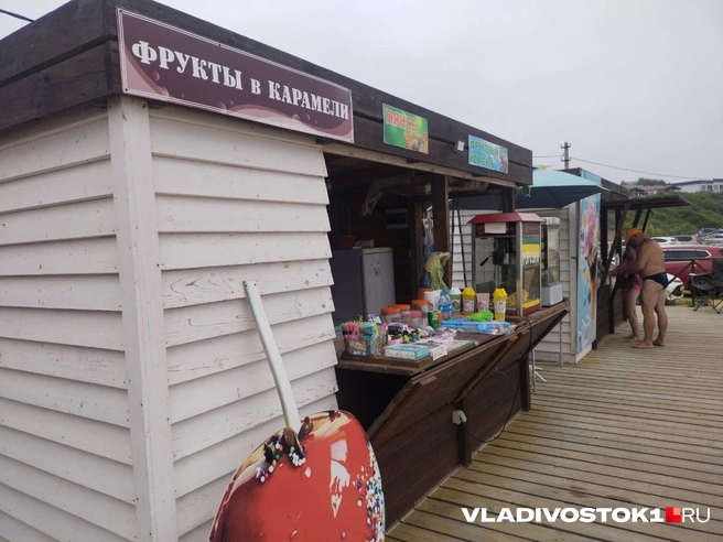 Источник: Екатерина Дымова / VLADIVOSTOK1.RU 