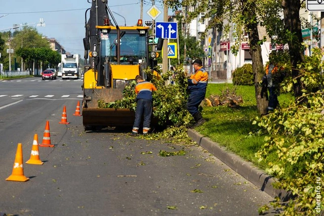 Источник: st.cherinfo.ru