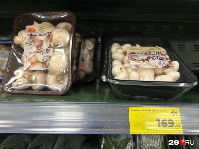 Источник: Кристина Полевая / 29.RU