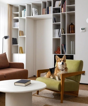 Для корги и его семьи: квартира 96 м² в центре Москвы