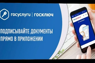 Почти 92 тысячи жителей Пензенской области использовали «Госключ»