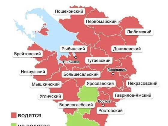Карта ареала обитания клещей-переносчиков энцефалита в регионе | Источник: Мария Романова / Городские медиа
