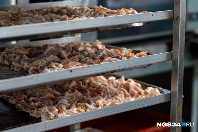 Бекон ждет своего звездного часа | Источник: Мария Ленц / NGS24.RU