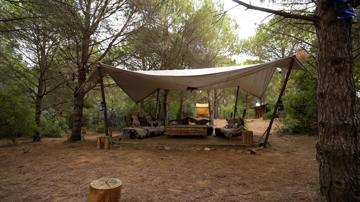 Члена народной команды оказались в лесу, потому что проиграли в большом испытании