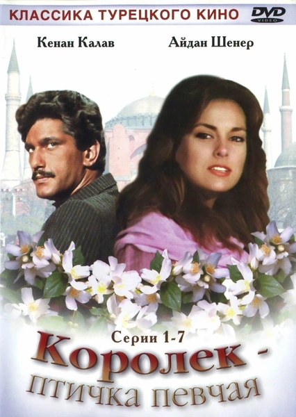 Нестареющая классика: 10 турецких сериалов, которые обязан посмотреть каждый | thegirl.ru