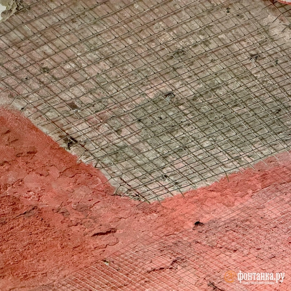 Источник: Марина Мамонтова/«Фонтанка.ру»