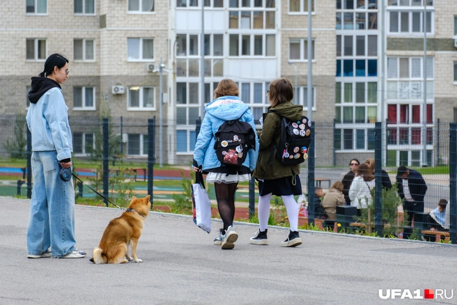 Сколько значков насчитали? | Источник: Булат Салихов / UFA1.RU
