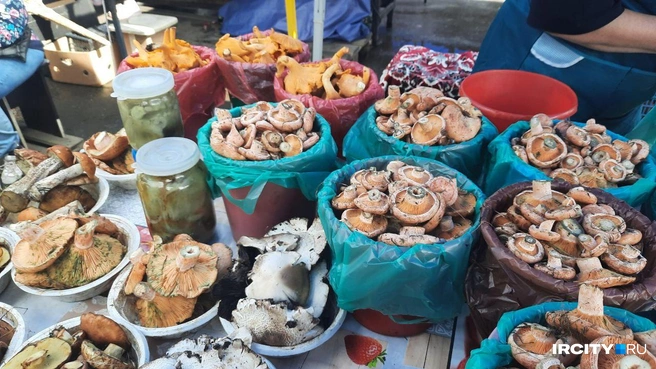 Каждое ведерко на этом фото стоит 1000 рублей | Источник: Виктор Лучкин / «ИрСити»