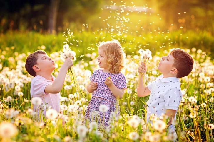 Совет дня: как отстирать с одежды траву и одуванчики | Источник: Shutterstock/Fotodom.ru