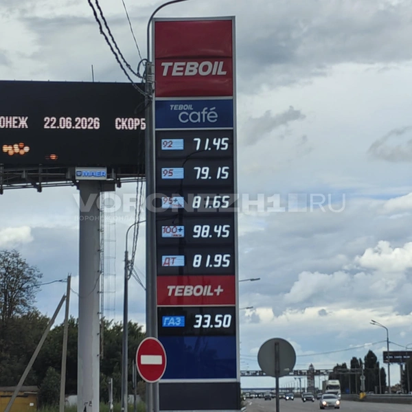 …и точно такие же на въезде в город | Источник: Андрей Пашинский / Voronezh1.ru