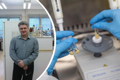 Vector Scientist Suspected of Bribery and Fraud