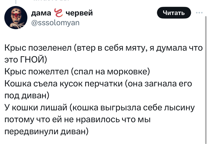 В «Твиттере» делятся тупыми причинами, по которым возили животных в ветеринарные клиники. И это уморительно!