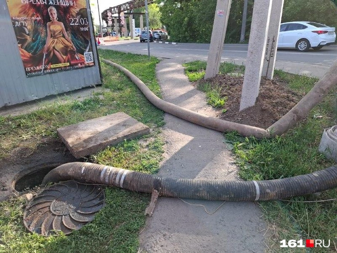 Источник: читатель 161.RU