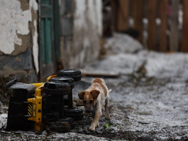 По двору разбросаны детские игрушки | Источник: Александр Ощепков / NGS.RU