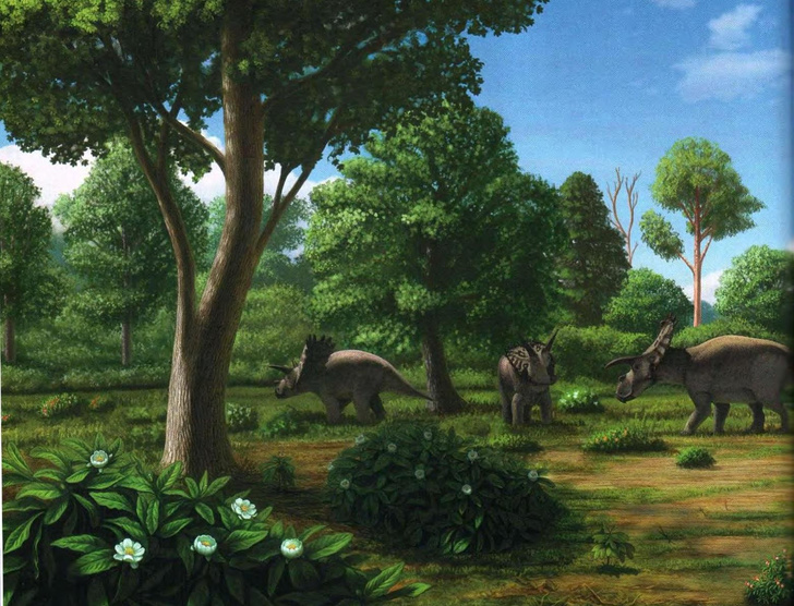 Цветы, изменившие мир: что мы знаем о растениях, которые победили динозавров