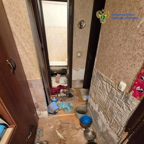 Источник: Официальный канал прокуратуры г. Москвы