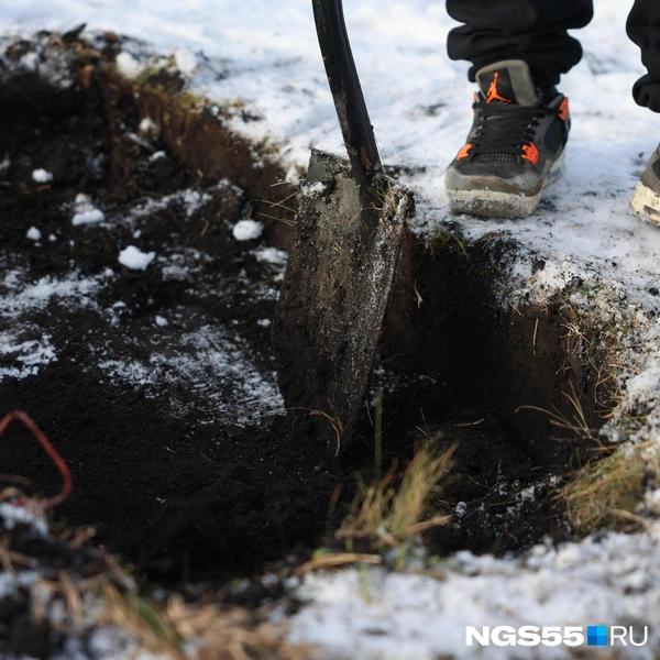 Промерзшую землю копать тяжелее, чем сырую  | Источник: Евгений Софийчук / NGS55.RU