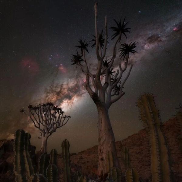 Канаан, Намибия | Источник: Burak Esenbey / Milky Way Photographer of the Year 2025