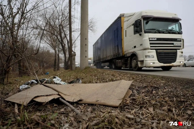 Под мусором прячется зеленая травка. Ей нужно только чуть-чуть помочь | Источник: Наталья Лапцевич