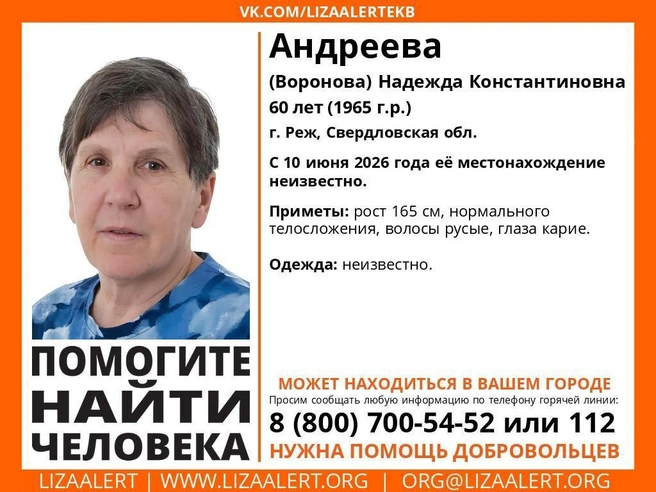 Источник: Поисковый отряд «ЛизаАлерт» Свердловской области