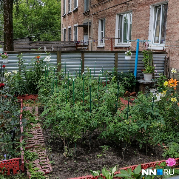 Источник: Наталья Бурухина / NN.RU