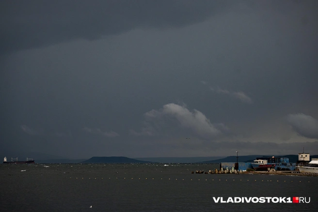 Источник: Елена Буйвол / VLADIVOSTOK1.RU