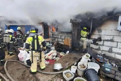 Пожар в Нижнем Новгороде: 200 собак погибли в огне