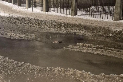 Родник на Академика Павлова создал ледяные горки на дороге