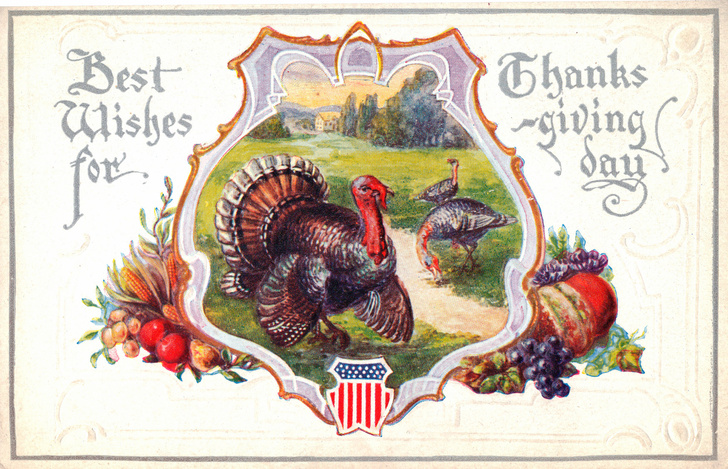 Праздник урожая: как возник День благодарения и почему президент США каждый год «милует» индейку