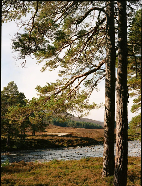 Маникюр с инициалами и платье Вивьен Вествуд: Эмбер Андерсон и Коннор Суинделлс сыграли одну из самых красивых свадеб этого года