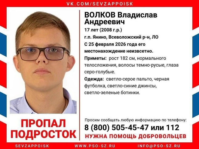 Источник: Следком Ленинградской области / T.me