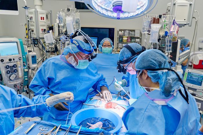 В США впервые человеку пересадили искусственное сердце и почку свиньи