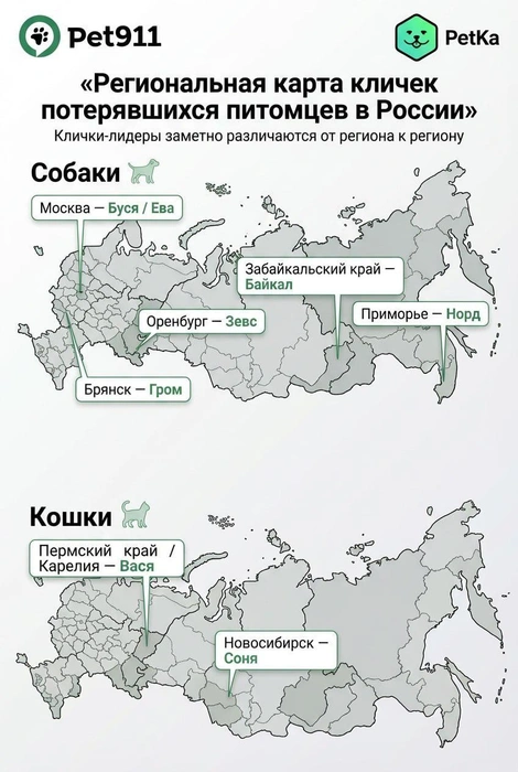 Источник: Всероссийская система защиты животных Pet911